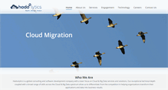 Desktop Screenshot of hadoolytics.com