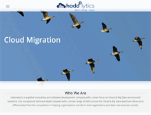 Tablet Screenshot of hadoolytics.com